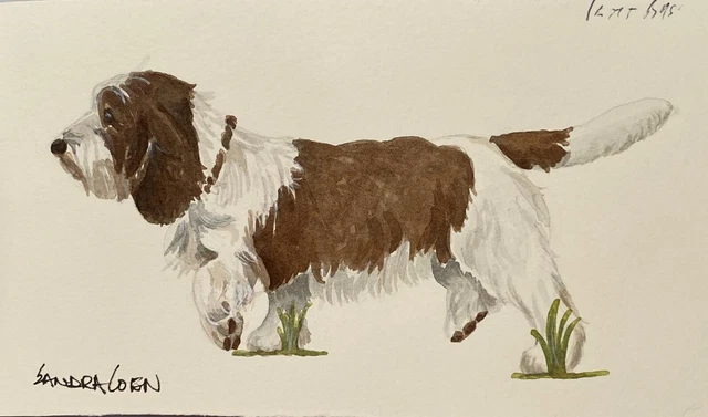 Petit Basset Griffon Vendéen Original Watercolor by Sandra Coen Troting