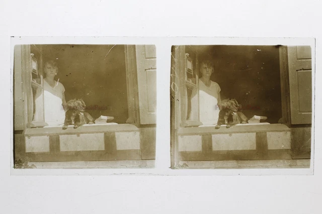 Bretagne Femme Chien France Photo Stereo 10n23 Plaque verre Vintage c1930