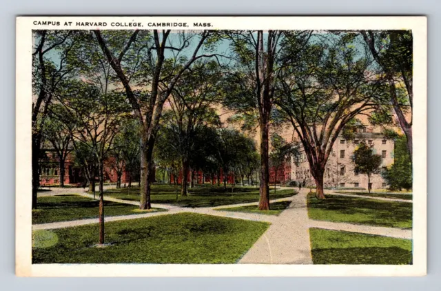 Cambridge MA-Massachusetts, Campus At Harvard College, Antique Vintage Postcard