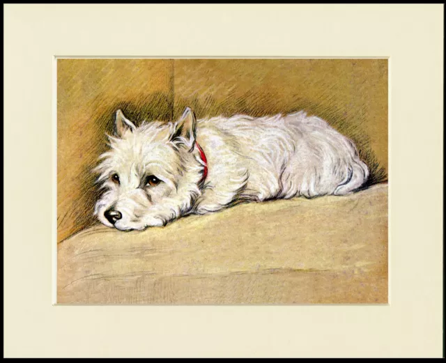 Westie West Highland White Terrier  Lovely Dog Print Ready To Frame