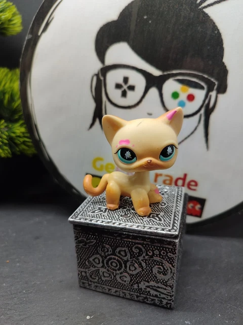 Littlest Pet Shop 816 : Le Chat Européen à Poil Court Authentique Hasbro !