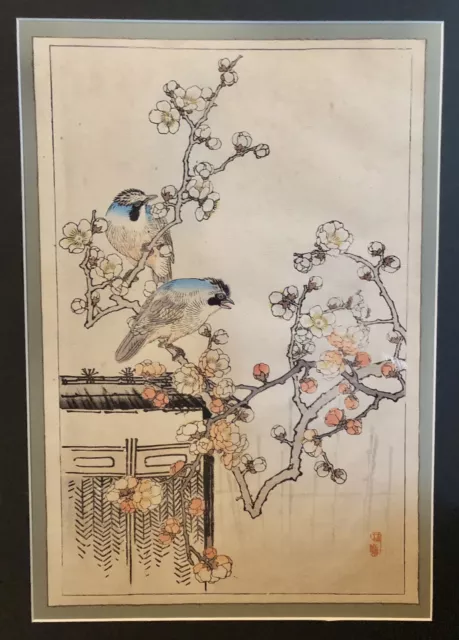 Antique 1899 Kono Bairei Plum Tree And Jays Woodblock Posthumous Print
