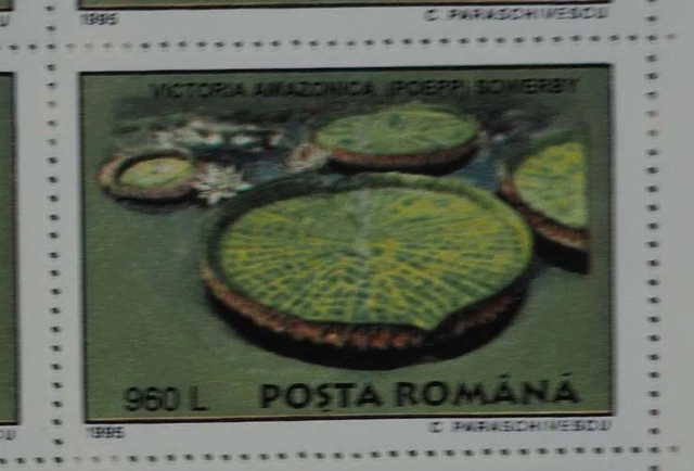 1995 Rumänien; 200 Serien Botanischer Garten, **/MNH, MiNr. 5129/34, ME 900,- 3