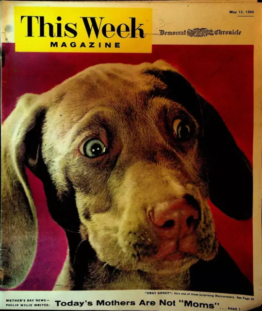 This Week Magazine May 13 1956 Weimaraner Dog Philip Wylie Elaine Malbin