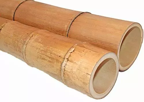 Canne di Bamboo Gigante - 100 - 150 - 200 - 300 cm - Bambù - SECONDA SCELTA