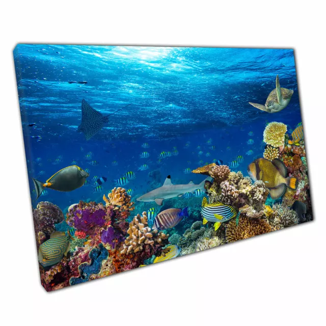Coral Reef Sea Life Shark Sting Ray Tropical Fish Sea Turtle Ocean Print Canvas