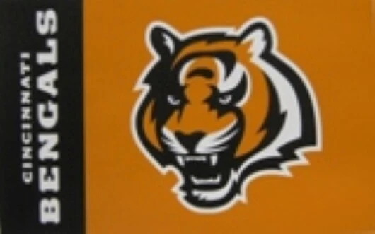 Wincraft Cincinnati Bengals Logo Nfl Flag Banner – Double Sided