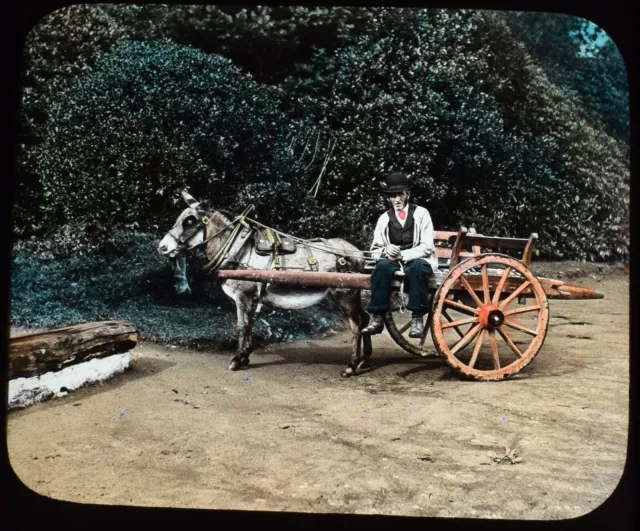BÄUER UND ESELWAGEN IRLAND C1890 ALTES FOTO magische Laterne Rutsche