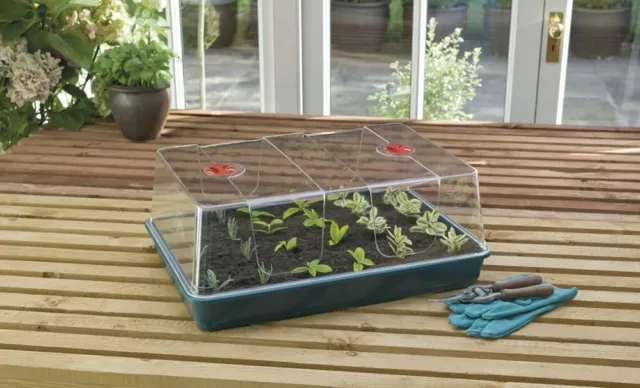 Garland XL High Dome Propagator 58 x 40 x 22.5cm Seed Cuttings Tray Grow G155