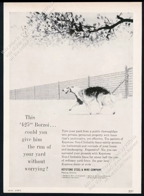 1961 Borzoi dog art Keystone Steel & Wite fencing vintage print ad
