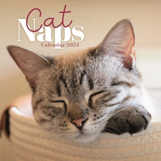 MINI CALENDARIO GATTO Nips 2025 Nuovo Calendario E245z EUR 7,19