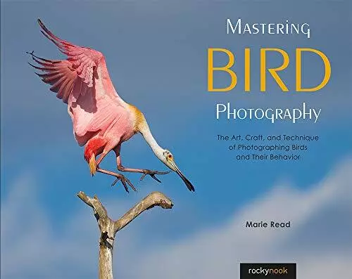 Mastering Vogel Fotografie: The Art, Craft, Und Technik Von Photographing Vögel