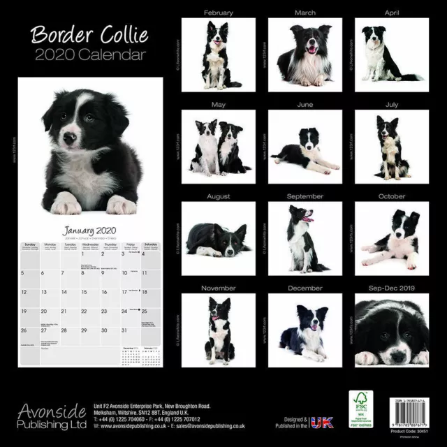 Calendrier 2020 / Kalender /calendario 2020 / Border collie / neuf 2