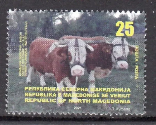 Macedonia 2021 Animals Water Buffalo Cattle Farm Animals [#2101]