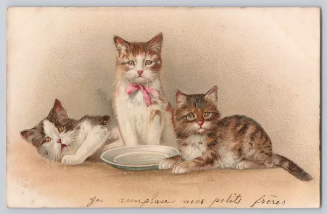 1903 Kitty Cats Postcard French Kitten Kitty Litho Undivided Posted Paris France