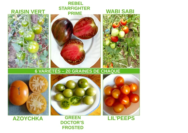 Graines de tomates rares et de collection