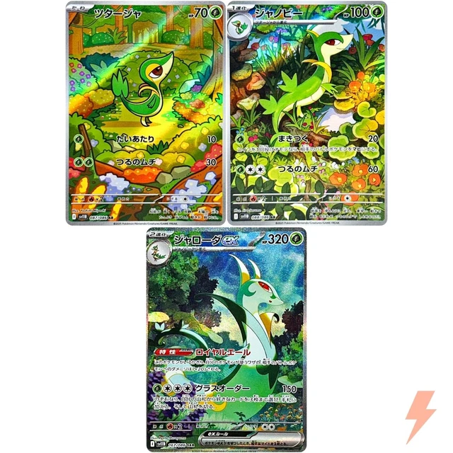 pokemon card servine Pokemon - Servine (6/124) main image 1