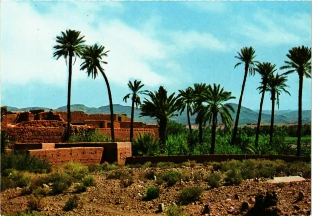 CPM AK Dans le Sud Marocain MAROC (881276)