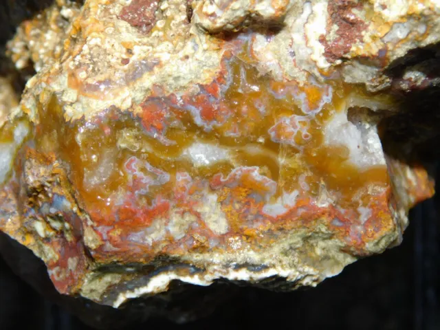 banded Plume Agate lapidary cabbing rough chunk San Carlos Mexico 3 lbs