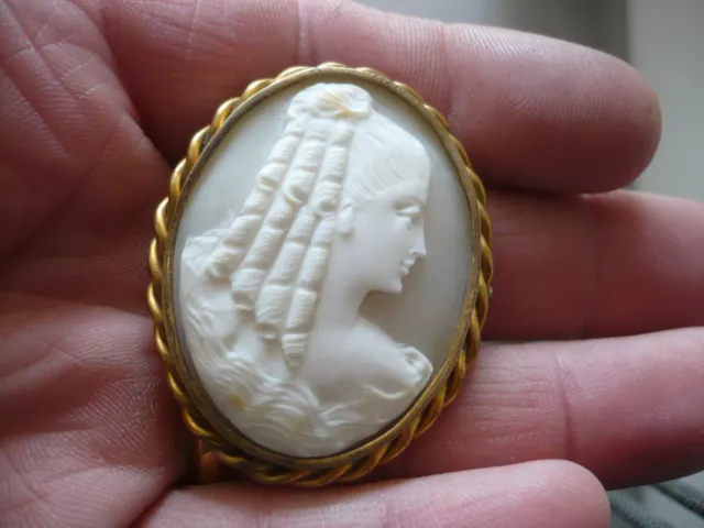 Broche Camée sur coquillage ancienne Bronze doré 4,55 cm de long