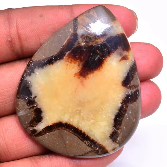 164 Cts Natural Septarian Designer 60mm 49mm Pear Cabochon Huge Loose Gemstone