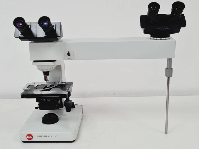 LEITZ LABORLUX K Binocular Microscope with Teaching Head & 1 x ...