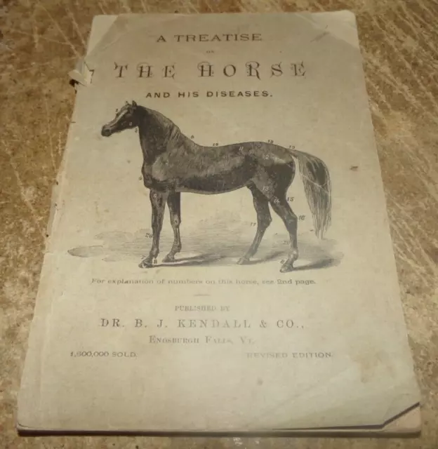 1881 a treatise on the horse and his diseases booklet good used