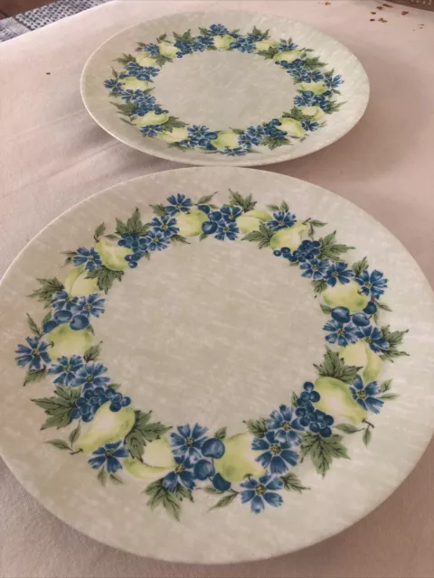 2 Pcs.- Harmony House Melmac 10" Dinner Plates  FLORA LEE Design Apples/Pears 2