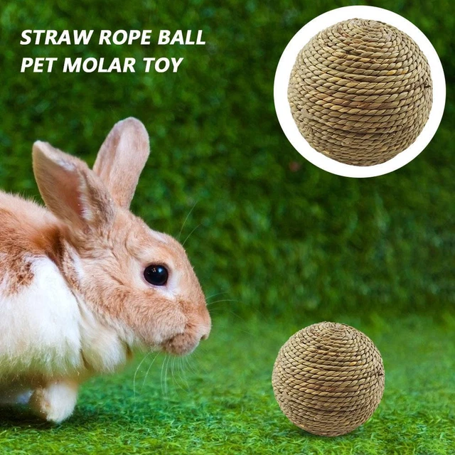 RongSheng Kleine Tiere Kauen Grasball Haustier Hamster Backenzahn Reinigung Schl