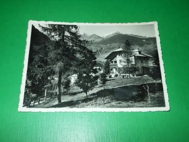 Cartolina Cogolo in Val di Pejo con P. Taviela e M. Viòz 1957.