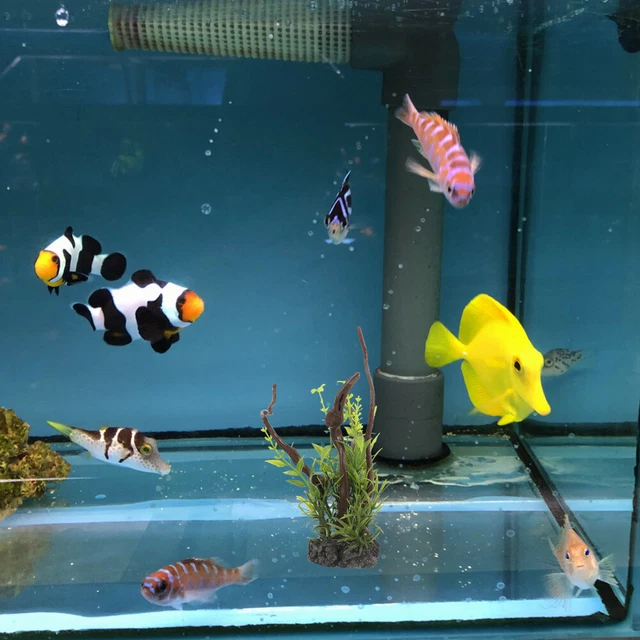 Aquarium Plants Tree Root Model Fish Tank Decorations Aquarium Landscaping Fish