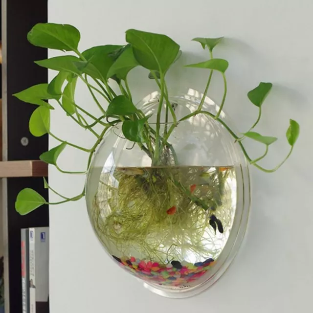 1pcs Creative Acrylic Hanging Wall Mount Fish Tank Bowl Vase Aquarium Pot Bowl