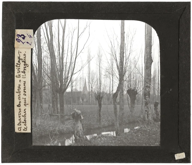 Plaques De Verre - Salle Garde, Château Loire, Photo Ancienne Plaque De Verre Positif 8 5x10 Cm 2249770804
