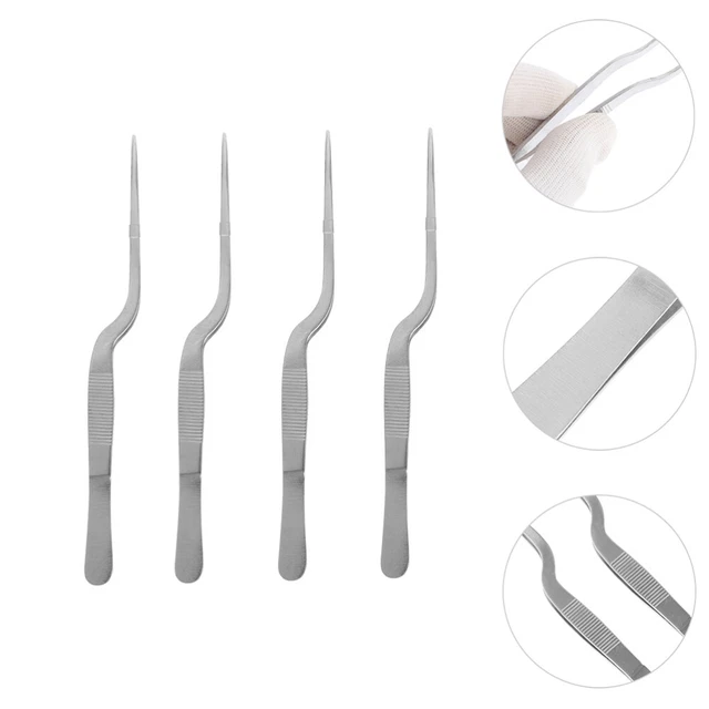 4 Pcs Pinzette Pinzette Aus Edelstahl Pflanzenwerkzeuge Sauber