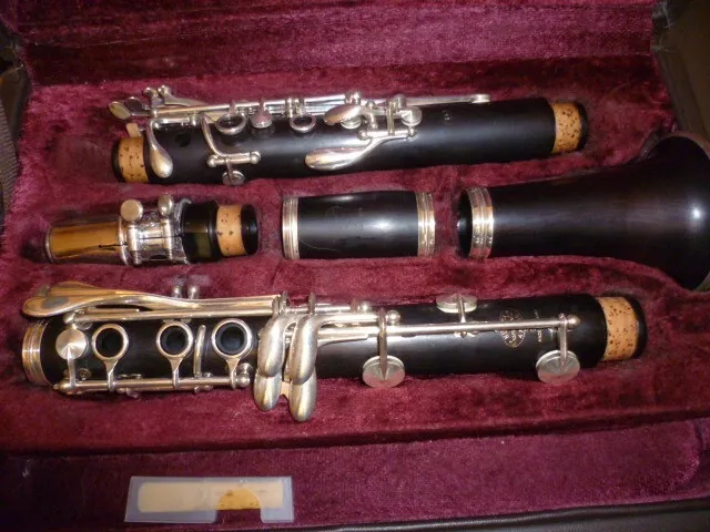 EJ.life Ensemble d'accessoires pour clarinette Kit d'accessoires de brosse  de chiffon de nettoyage de roseau de sangle réglable de