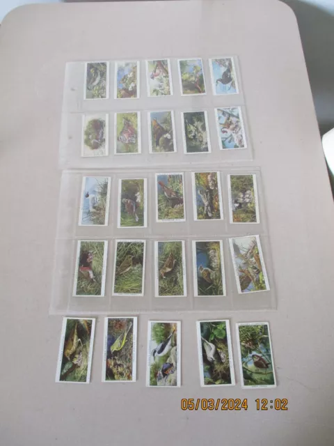 John Player & Sons Birds and Their Young 1st series Unissued Full set 25 cards