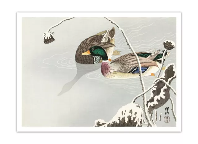 OHARA KOSON Two Mallards Near A Snow-Covered Lotus ART (1925-1936) Print/ Poster