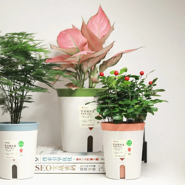 Lot De 50/100 Trous En Maille Pour Pots De Fleurs - Grille De Drainage