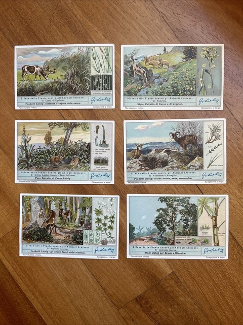 Figurine Liebig N.6 Serie Complete Collezione