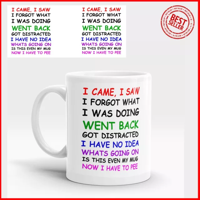 Awesome I CAME I SAW I FORGOT Funny Novelty Birthday Gift Coffee Mug