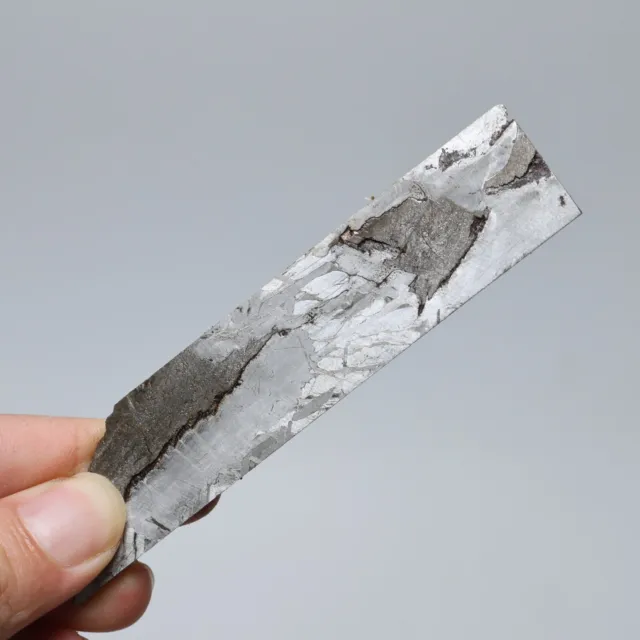 30g  Muonionalusta meteorite part slice C6703