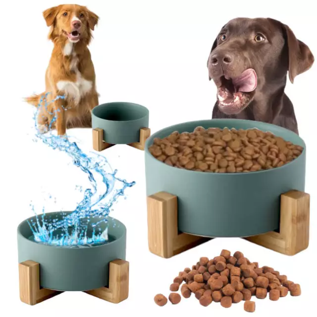 Bol en céramique de bambou pour chiens et chats, 1,8 l, vert