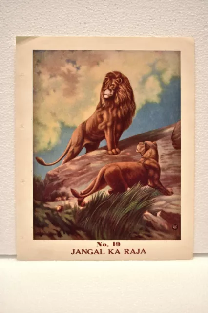 Vintage Lithographie Imprimé Représentant Lion The King De Jungle Ka Raja Objets