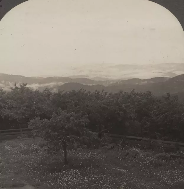 Overlooking Blue Ridge Mountains from Mt. Toxaway NC Keystone Stereoview c1900