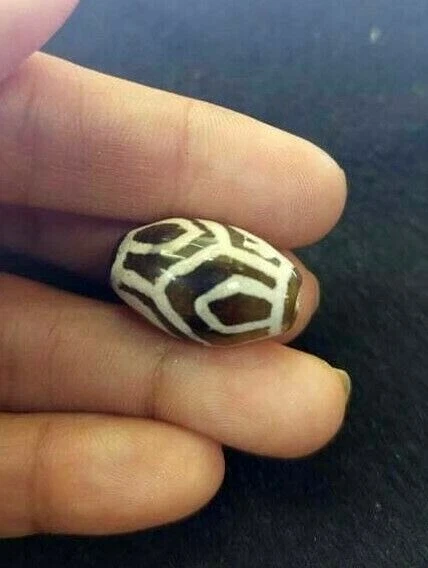 Auth Ancient DZI Etched Pumtek Agate Sacred Lotus Petal Burmese Bead Pendant