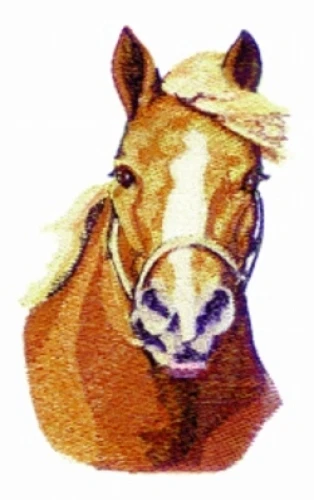 Embroidered Sweatshirt - Draft Horse BT3728 Sizes S - XXL