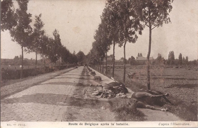 Cpa War Of 1914.18.Road Of Belgium After Battle. Horses M. 1914...Tbe
