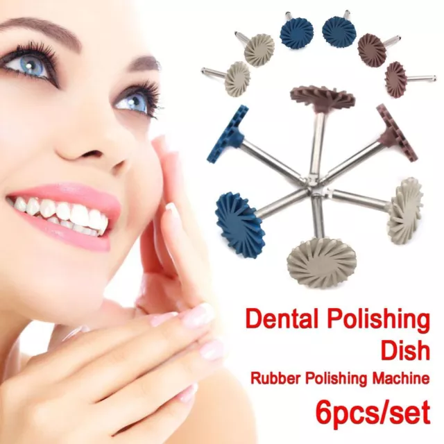 Dish Rubber Polishing Machine Diamond System Composite Resin Polishing