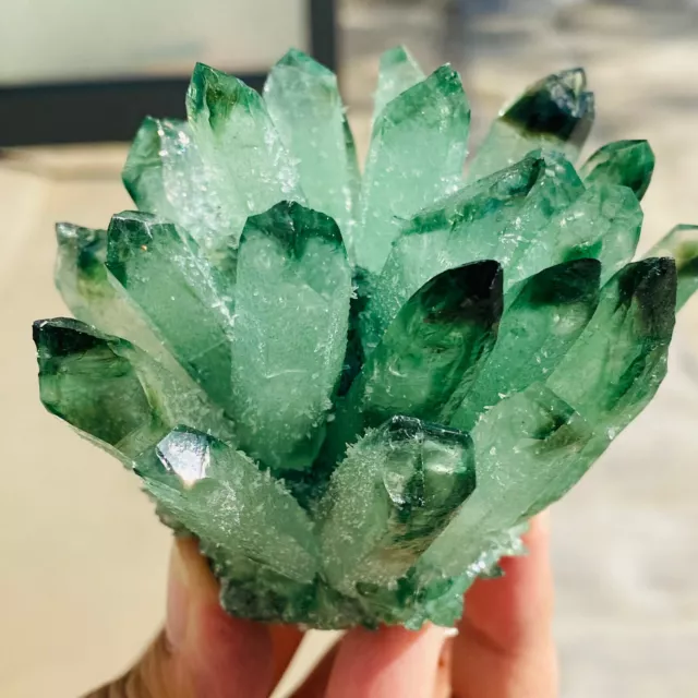 293G New Find Green Phantom Quartz Crystal Cluster Mineral Specimen Healing.