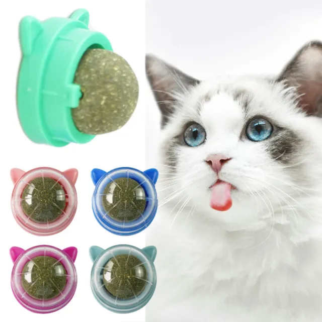 Pet Stuff Saludable Gato Catnip Juguetes Bola Candy Lamiendo Snacks Merienda